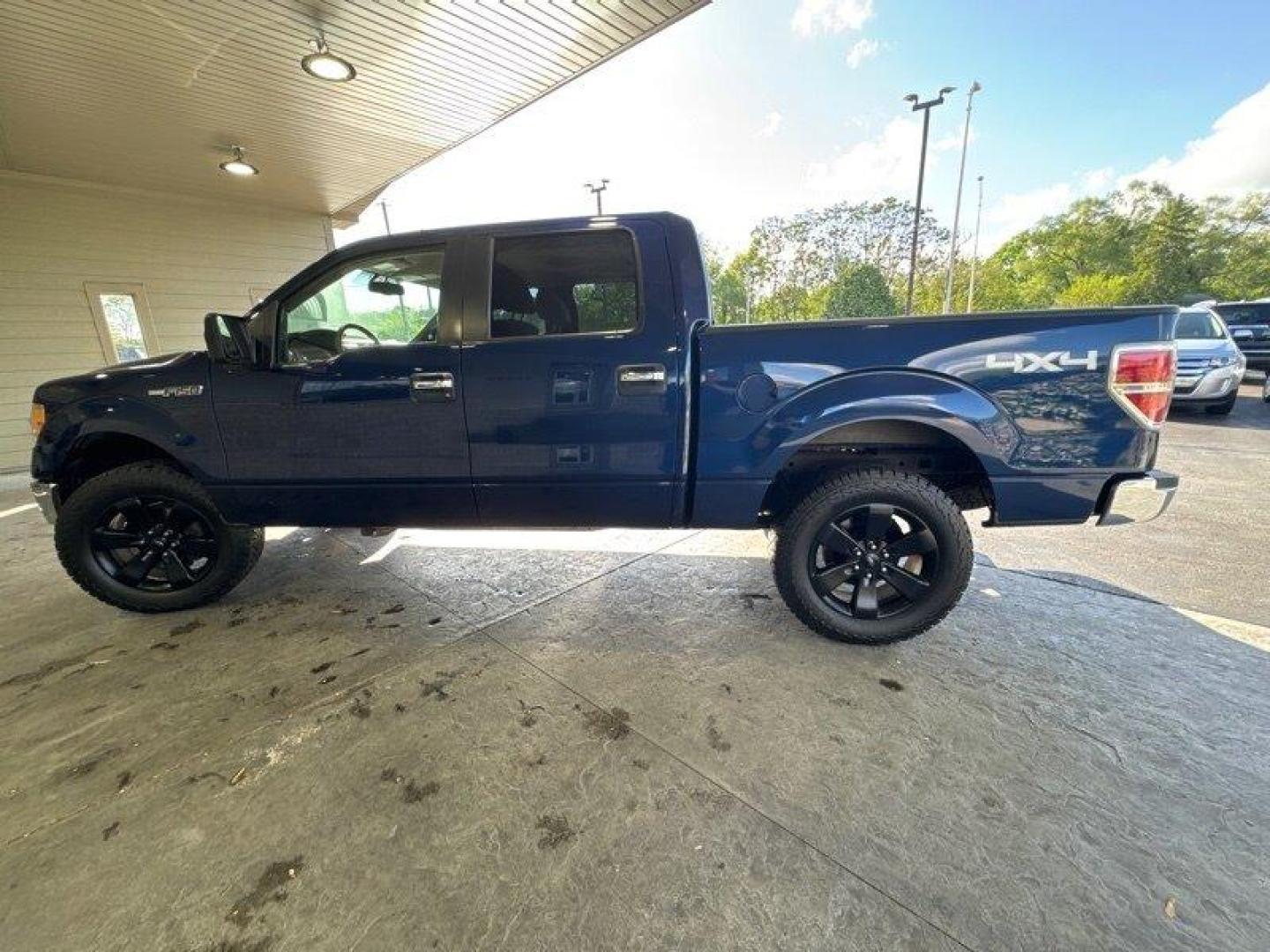 2010 Blue Flame Metallic Ford F-150 XLT (1FTEW1E89AF) with an 4.6L 3V V8 292hp 320ft. lbs. engine, Automatic transmission, located at 25355 Eames Street, Channahon, IL, 60410, (815) 467-1807, 41.429108, -88.228432 - Looking for a reliable and powerful truck that can handle all your heavy-duty tasks? Look no further than the 2010 Ford F-150 XLT! This beast of a truck is powered by a 4.6L 3V V8 engine that delivers an impressive 292 horsepower and 320 foot-pounds of torque, making it one of the most capable truck - Photo#5