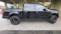 2018 Shadow Black Ford F-150 XLT (1FTEW1EG0JF) with an EcoBoost 3.5L Twin Turbo V6 375hp 470ft. lbs. engine, Automatic transmission, located at 25355 Eames Street, Channahon, IL, 60410, (815) 467-1807, 41.429108, -88.228432 - Oh, honey, let me tell you about the 2018 Ford F-150 XLT. This bad boy is powered by an EcoBoost 3.5L Twin Turbo V6 engine that'll have you feeling like you're cruising on a cloud. With 375 horsepower and 470 ft. lbs. of torque, you'll have all the power you need to take on any road. And let's talk - Photo#1