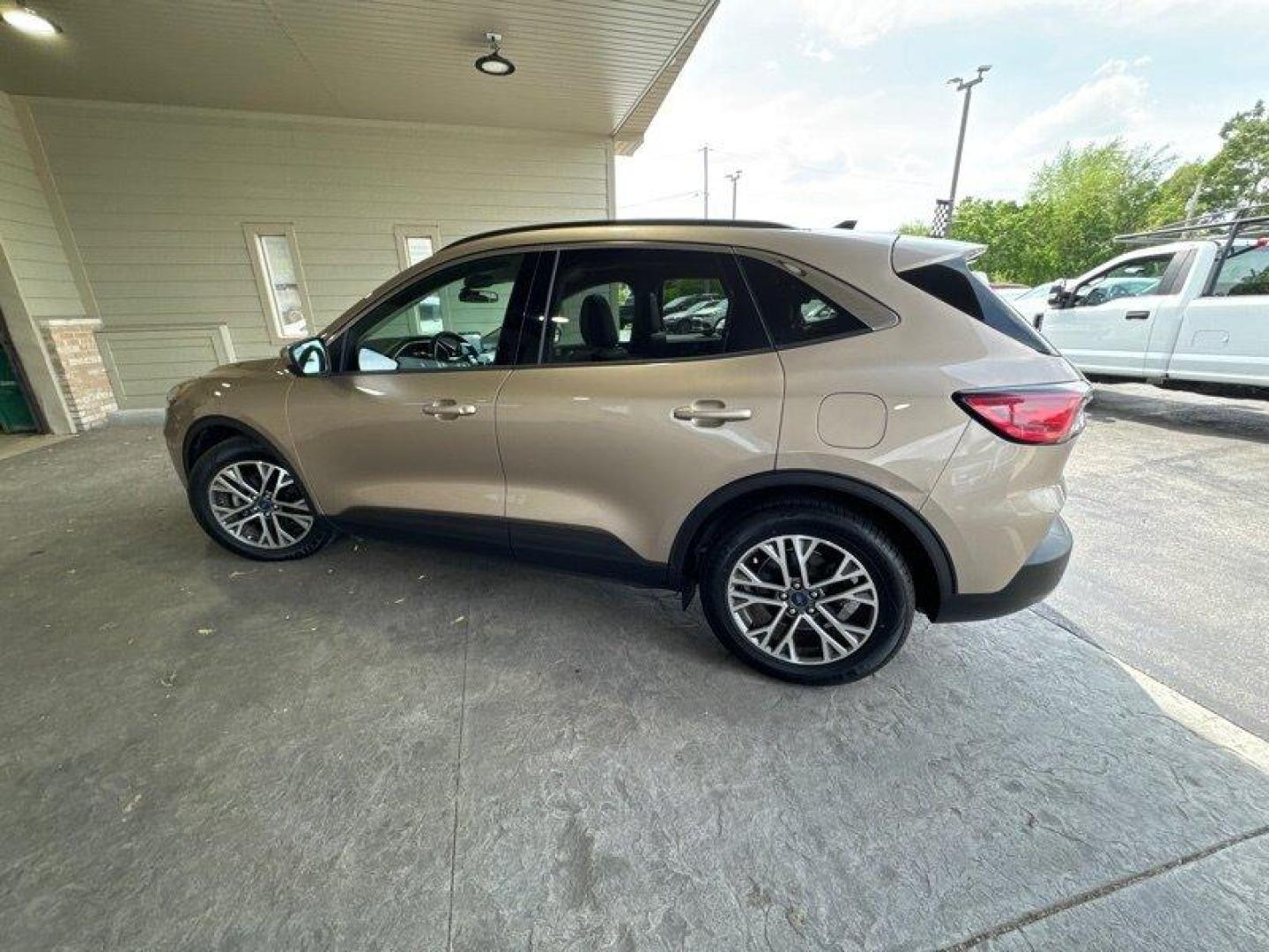 2020 Desert Gold Ford Escape SEL (1FMCU0H6XLU) with an EcoBoost 1.5L Turbo I3 181hp 190ft. lbs. engine, Automatic transmission, located at 25355 Eames Street, Channahon, IL, 60410, (815) 467-1807, 41.429108, -88.228432 - Photo#6