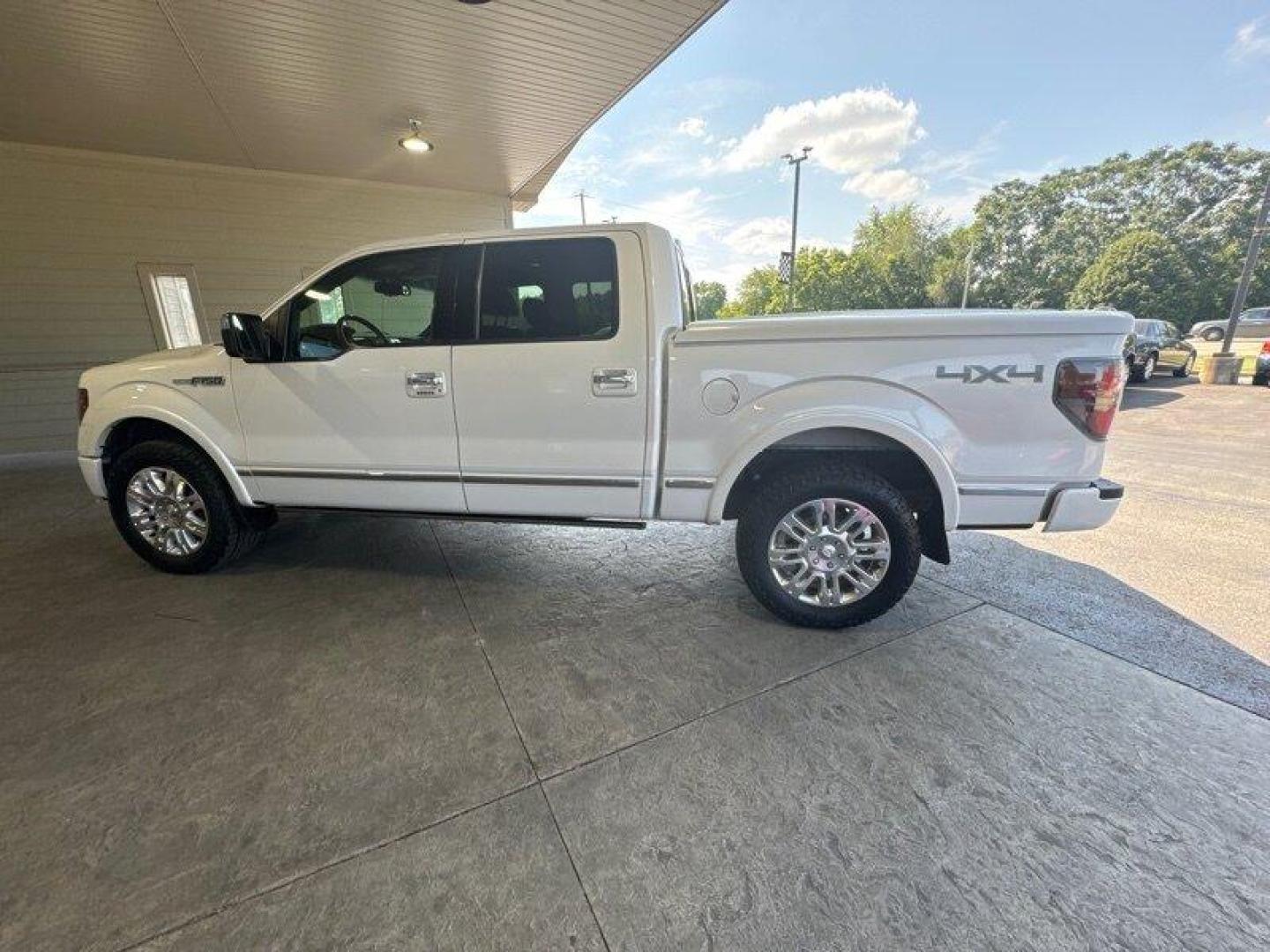 2010 White Platinum Metallic Tri-Coat Ford F-150 Platinum (1FTFW1EV1AF) with an Triton 5.4L Flex Fuel V8 320hp 390ft. lbs. engine, Automatic transmission, located at 25355 Eames Street, Channahon, IL, 60410, (815) 467-1807, 41.429108, -88.228432 - Photo#5