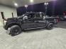 2017 Shadow Black Ford F-150 XLT (1FTEW1EF1HF) with an 5.0L Flex Fuel V8 385hp 387ft. lbs. engine, Automatic transmission, located at 25355 Eames Street, Channahon, IL, 60410, (815) 467-1807, 41.429108, -88.228432 - Introducing the 2017 Ford F-150 XLT, the powerhouse of all trucks! This beast is equipped with a 5.0L Flex Fuel V8 engine that delivers a whopping 385 horsepower and 387ft. lbs. of torque, making it the ultimate choice for all your heavy-duty needs. The exterior of this truck comes in a sleek and s - Photo#9