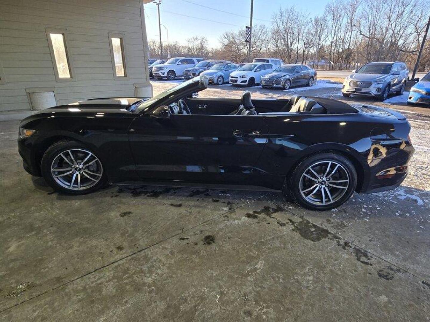 2015 Black Ford Mustang EcoBoost Premium (1FATP8UH1F5) with an EcoBoost 2.3L Turbo I4 310hp 320ft. lbs. engine, Automatic transmission, located at 25355 Eames Street, Channahon, IL, 60410, (815) 467-1807, 41.429108, -88.228432 - Introducing a stunning 2015 Ford Mustang EcoBoost Premium, featuring a powerful EcoBoost 2.3L Turbo I4 310hp 320ft. lbs. engine. This vehicle is a perfect blend of performance and style. The exterior of this Mustang is coated in a classic Black color, while the interior is clad in Raven Black, givin - Photo#8